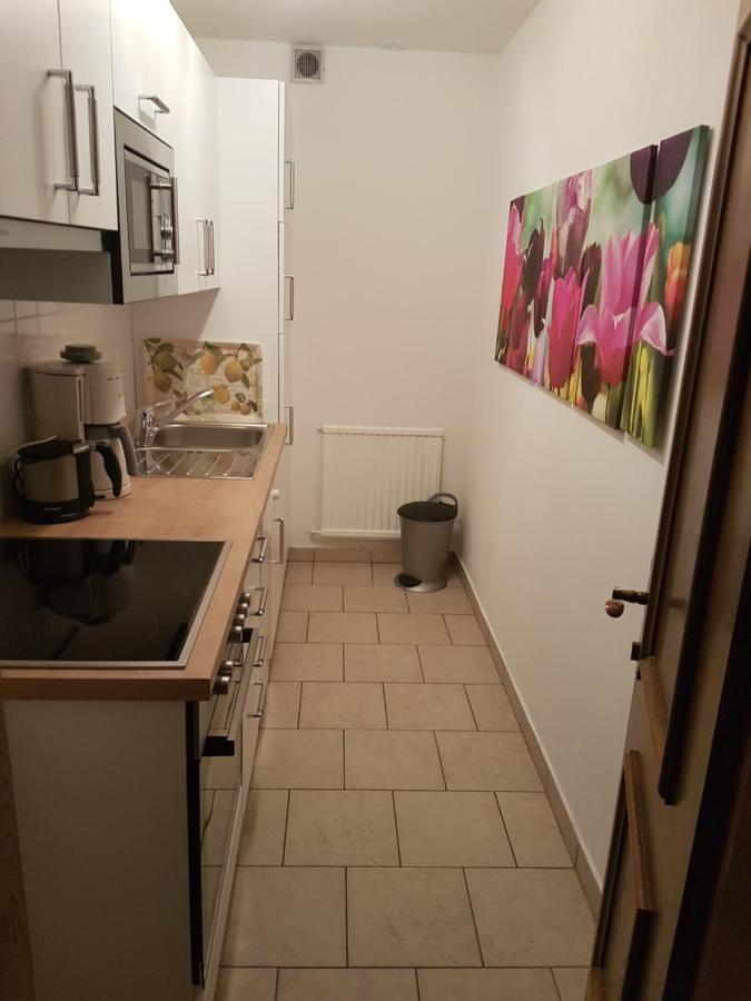 Apartments Spiegl Holzmann Bischofshofen Kültér fotó